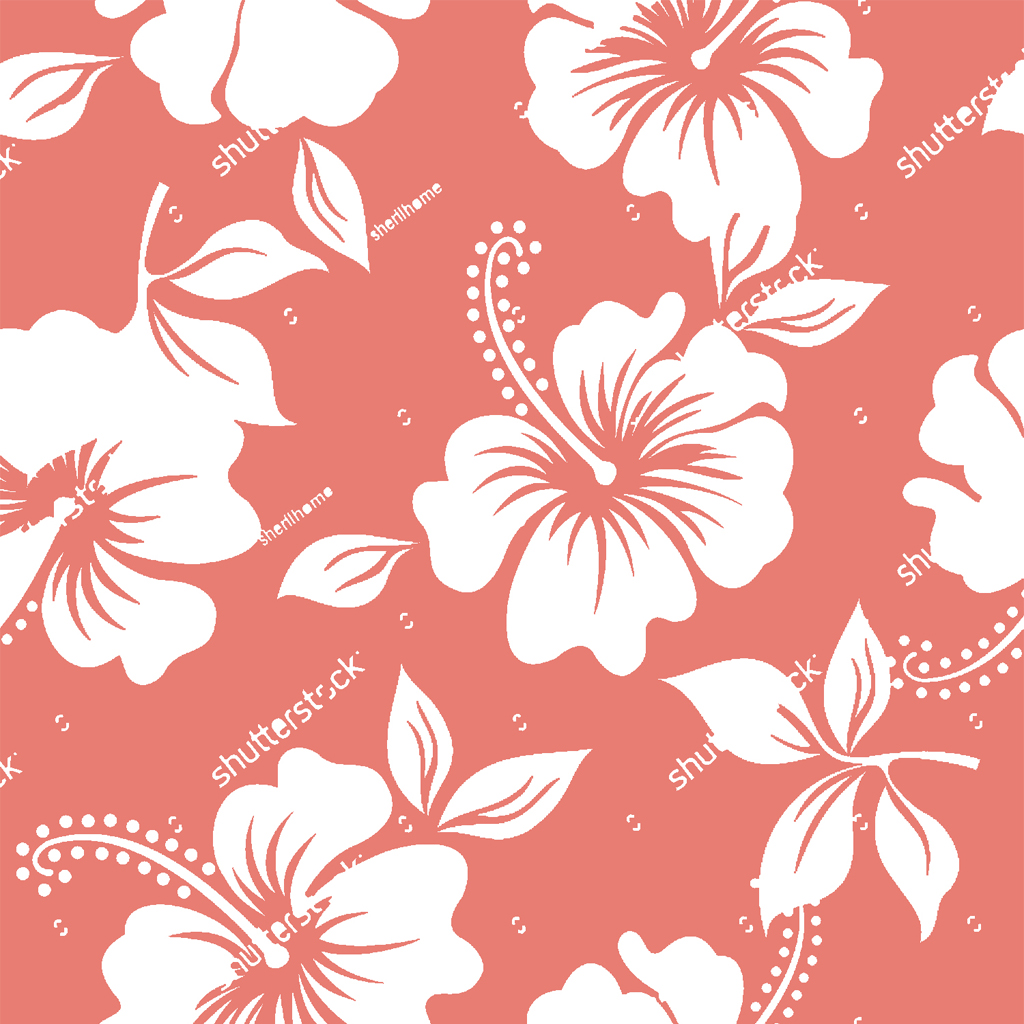 hibiscus1