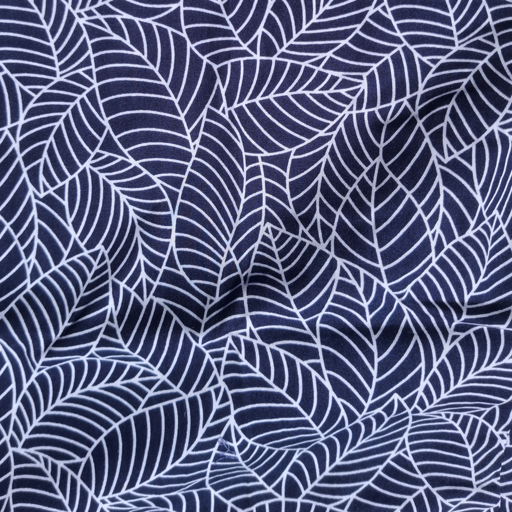nature4